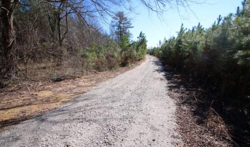 Photo of UNDER CONTRACT!  100 Acres of Hunting and Timber Land For Sale in Nash County NC!