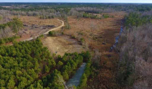 Photo of UNDER CONTRACT!  100 Acres of Hunting and Timber Land For Sale in Nash County NC!