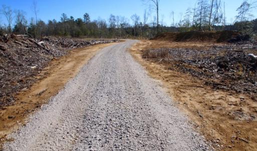 Photo of UNDER CONTRACT!  100 Acres of Hunting and Timber Land For Sale in Nash County NC!