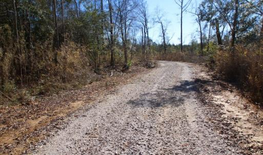 Photo of UNDER CONTRACT!  100 Acres of Hunting and Timber Land For Sale in Nash County NC!