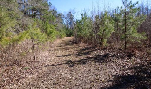 Photo of UNDER CONTRACT!  100 Acres of Hunting and Timber Land For Sale in Nash County NC!