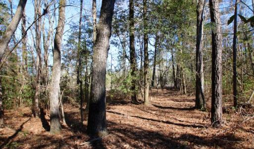 Photo of UNDER CONTRACT!  100 Acres of Hunting and Timber Land For Sale in Nash County NC!