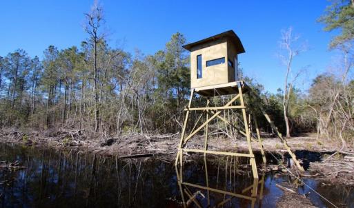 Photo of UNDER CONTRACT!  100 Acres of Hunting and Timber Land For Sale in Nash County NC!