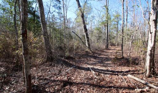 Photo of UNDER CONTRACT!  100 Acres of Hunting and Timber Land For Sale in Nash County NC!