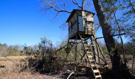 Photo of UNDER CONTRACT!  100 Acres of Hunting and Timber Land For Sale in Nash County NC!