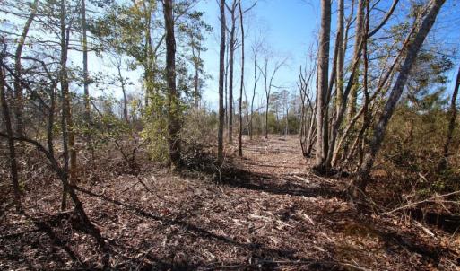Photo of UNDER CONTRACT!  100 Acres of Hunting and Timber Land For Sale in Nash County NC!
