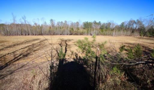 Photo of UNDER CONTRACT!  100 Acres of Hunting and Timber Land For Sale in Nash County NC!