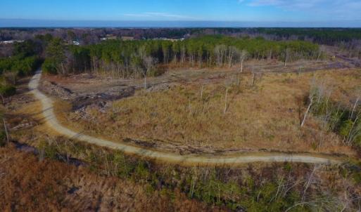 Photo of UNDER CONTRACT!  100 Acres of Hunting and Timber Land For Sale in Nash County NC!