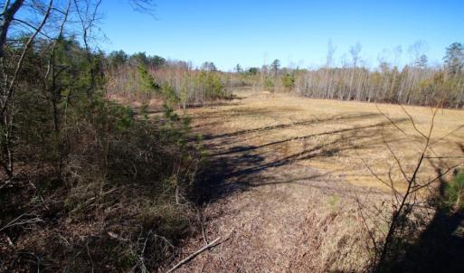 Photo of UNDER CONTRACT!  100 Acres of Hunting and Timber Land For Sale in Nash County NC!