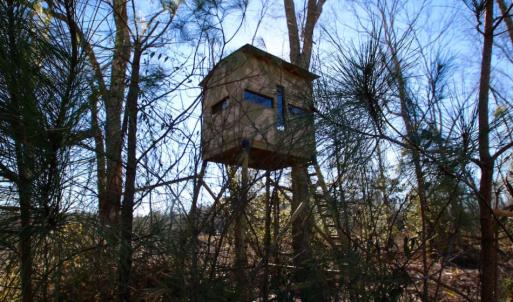 Photo of UNDER CONTRACT!  100 Acres of Hunting and Timber Land For Sale in Nash County NC!