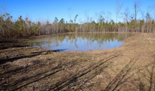 Photo of UNDER CONTRACT!  100 Acres of Hunting and Timber Land For Sale in Nash County NC!