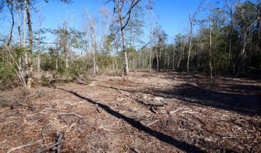 Photo of UNDER CONTRACT!  100 Acres of Hunting and Timber Land For Sale in Nash County NC!