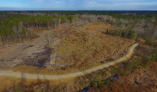 Photo of UNDER CONTRACT!  100 Acres of Hunting and Timber Land For Sale in Nash County NC!