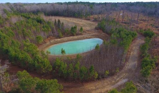Photo of UNDER CONTRACT!  100 Acres of Hunting and Timber Land For Sale in Nash County NC!