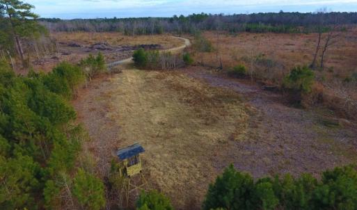 Photo of UNDER CONTRACT!  100 Acres of Hunting and Timber Land For Sale in Nash County NC!