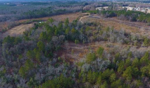 Photo of UNDER CONTRACT!  100 Acres of Hunting and Timber Land For Sale in Nash County NC!