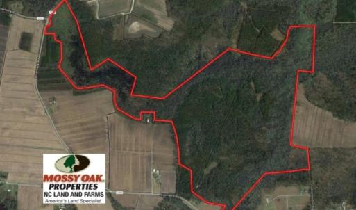 Photo of UNDER CONTRACT!  289 Acres of Hunting and Timber Land For Sale in Tyrrell County NC!