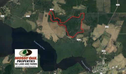 Photo of UNDER CONTRACT!  289 Acres of Hunting and Timber Land For Sale in Tyrrell County NC!