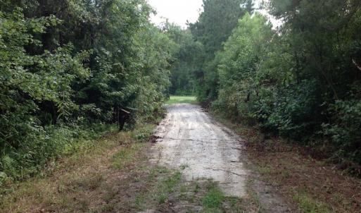 Photo of UNDER CONTRACT!  289 Acres of Hunting and Timber Land For Sale in Tyrrell County NC!