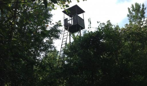 Photo of UNDER CONTRACT!  289 Acres of Hunting and Timber Land For Sale in Tyrrell County NC!