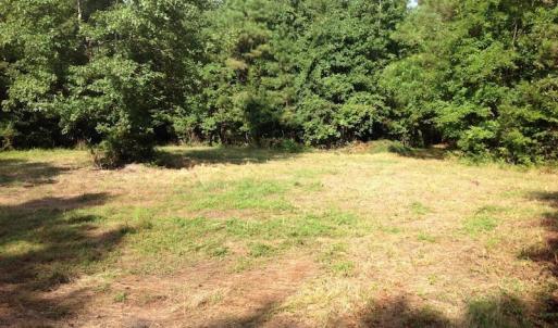 Photo of UNDER CONTRACT!  289 Acres of Hunting and Timber Land For Sale in Tyrrell County NC!