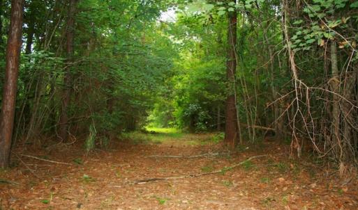 Photo of UNDER CONTRACT!  289 Acres of Hunting and Timber Land For Sale in Tyrrell County NC!