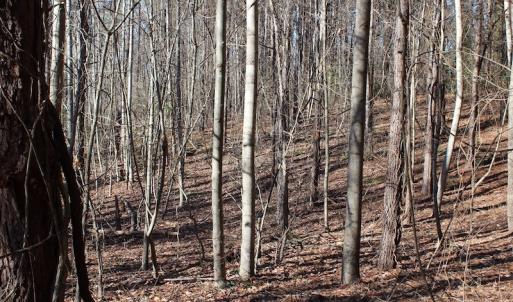 Photo of UNDER CONTRACT!  9.4 Acres of Residential and Hunting Land For Sale in King William County VA!