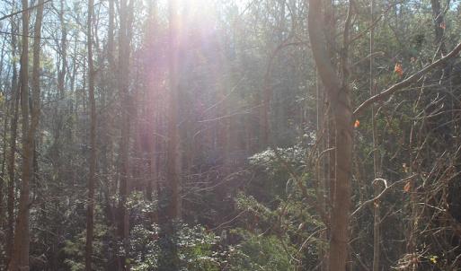 Photo of UNDER CONTRACT!  9.4 Acres of Residential and Hunting Land For Sale in King William County VA!