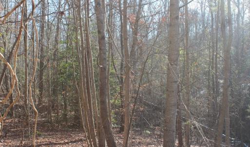 Photo of UNDER CONTRACT!  9.4 Acres of Residential and Hunting Land For Sale in King William County VA!