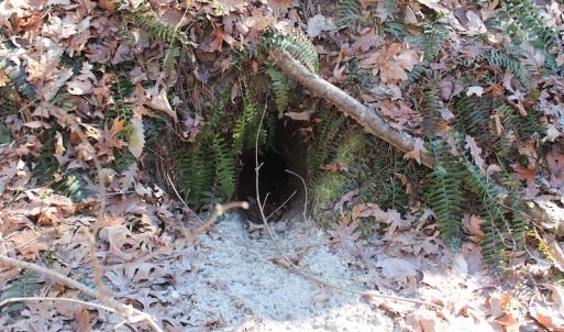 Photo of UNDER CONTRACT!  9.4 Acres of Residential and Hunting Land For Sale in King William County VA!