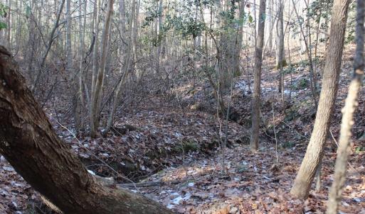 Photo of UNDER CONTRACT!  9.4 Acres of Residential and Hunting Land For Sale in King William County VA!