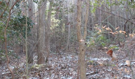 Photo of UNDER CONTRACT!  9.4 Acres of Residential and Hunting Land For Sale in King William County VA!