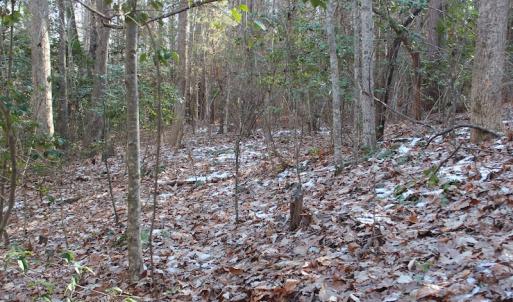 Photo of UNDER CONTRACT!  9.4 Acres of Residential and Hunting Land For Sale in King William County VA!