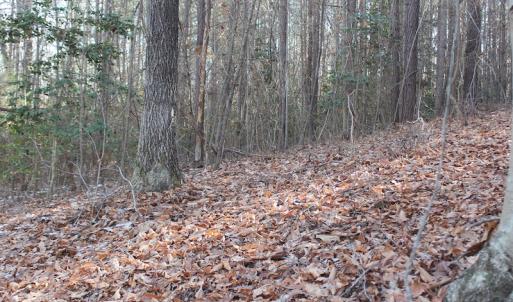 Photo of UNDER CONTRACT!  9.4 Acres of Residential and Hunting Land For Sale in King William County VA!