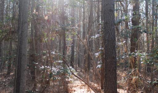 Photo of UNDER CONTRACT!  9.4 Acres of Residential and Hunting Land For Sale in King William County VA!