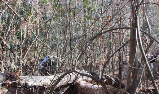 Photo of UNDER CONTRACT!  9.4 Acres of Residential and Hunting Land For Sale in King William County VA!