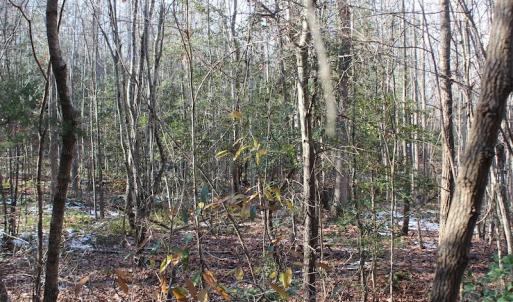 Photo of UNDER CONTRACT!  9.4 Acres of Residential and Hunting Land For Sale in King William County VA!