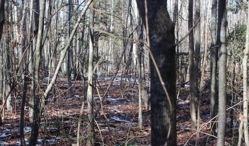 Photo of UNDER CONTRACT!  9.4 Acres of Residential and Hunting Land For Sale in King William County VA!