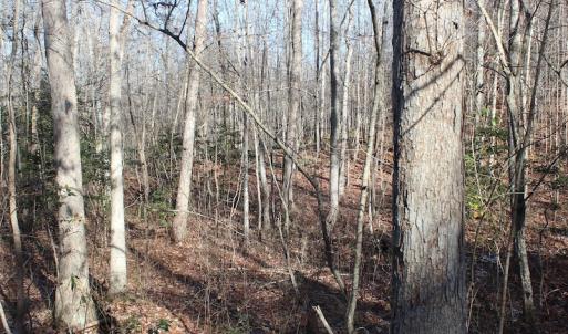 Photo of UNDER CONTRACT!  9.4 Acres of Residential and Hunting Land For Sale in King William County VA!