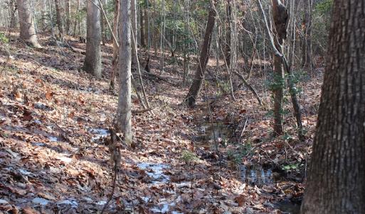 Photo of UNDER CONTRACT!  9.4 Acres of Residential and Hunting Land For Sale in King William County VA!