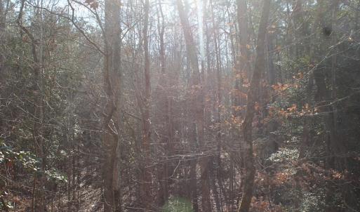 Photo of UNDER CONTRACT!  9.4 Acres of Residential and Hunting Land For Sale in King William County VA!