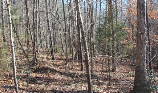 Photo of UNDER CONTRACT!  9.4 Acres of Residential and Hunting Land For Sale in King William County VA!