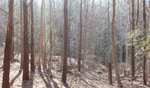 Photo of UNDER CONTRACT!  9.4 Acres of Residential and Hunting Land For Sale in King William County VA!