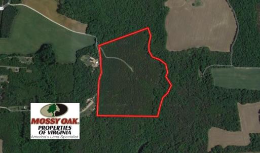 Photo of UNDER CONTRACT!  55 Acres of Hunting and Recreational Land For Sale in Caroline County VA!