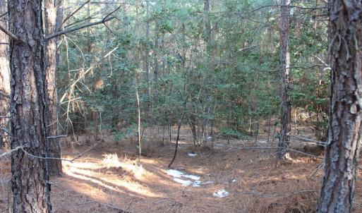 Photo of UNDER CONTRACT!  55 Acres of Hunting and Recreational Land For Sale in Caroline County VA!