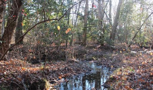 Photo of UNDER CONTRACT!  55 Acres of Hunting and Recreational Land For Sale in Caroline County VA!