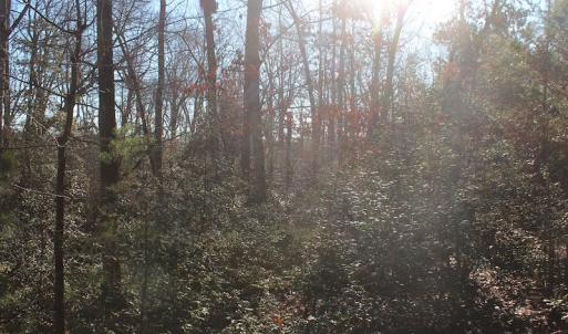Photo of UNDER CONTRACT!  55 Acres of Hunting and Recreational Land For Sale in Caroline County VA!