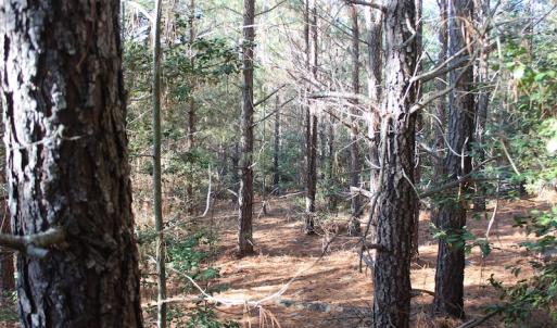 Photo of UNDER CONTRACT!  55 Acres of Hunting and Recreational Land For Sale in Caroline County VA!