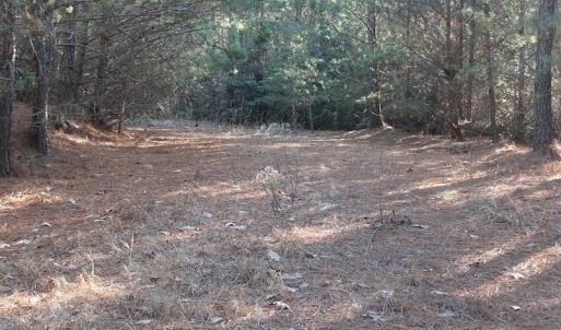 Photo of UNDER CONTRACT!  55 Acres of Hunting and Recreational Land For Sale in Caroline County VA!