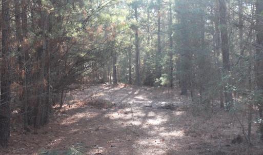 Photo of UNDER CONTRACT!  55 Acres of Hunting and Recreational Land For Sale in Caroline County VA!